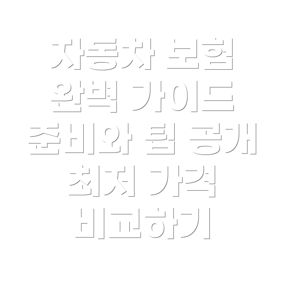 1일 자동차 보험