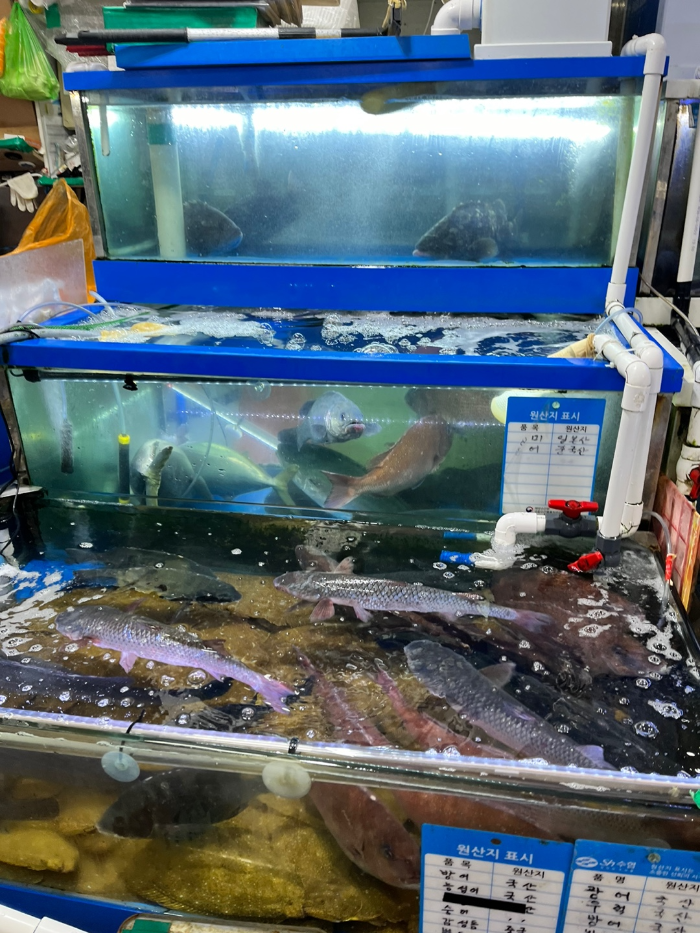 노량진 수산시장 2
