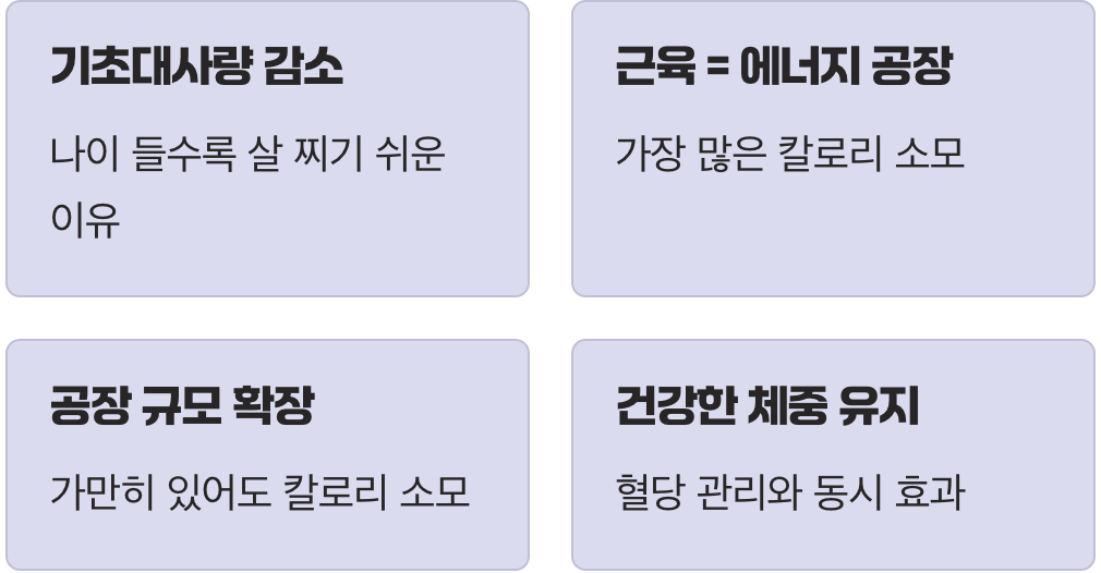 '살 안 찌는 체질'로의 변신