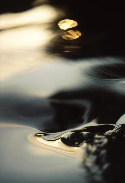 매끄니 제초제 가격 파는곳 완벽 가이드 2025년 최신판으로 구매하기_1