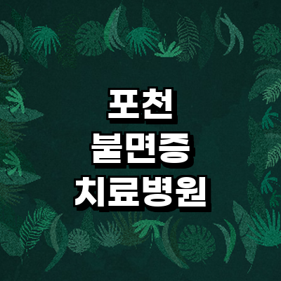 포천시 불면증