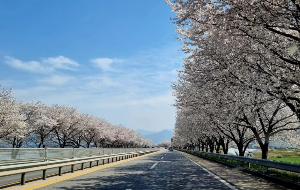 매화꽃이 유명한 여행지