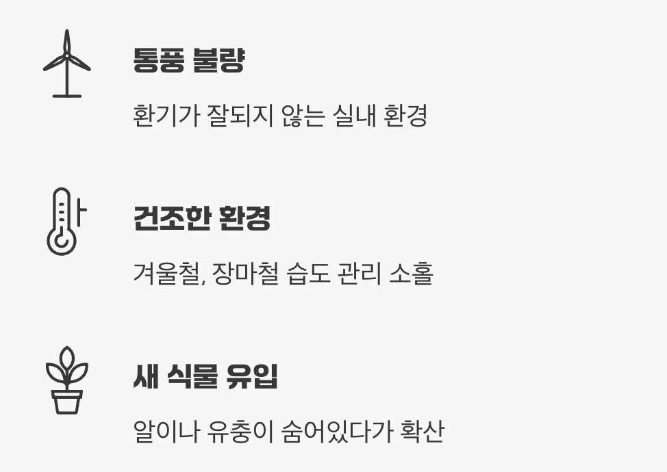 깍지벌레는 왜 생길까요?