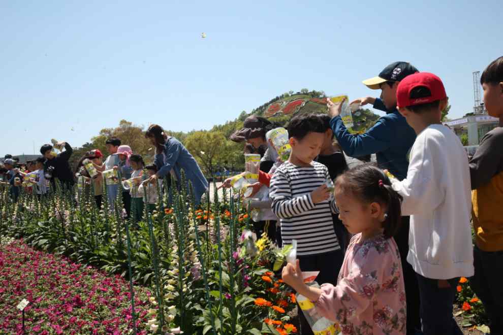 함평나비대축제