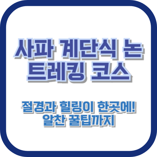 [사파 계단식 논 트레킹 코스] 절경과 힐링이 한곳에! 알찬 꿀팁까지