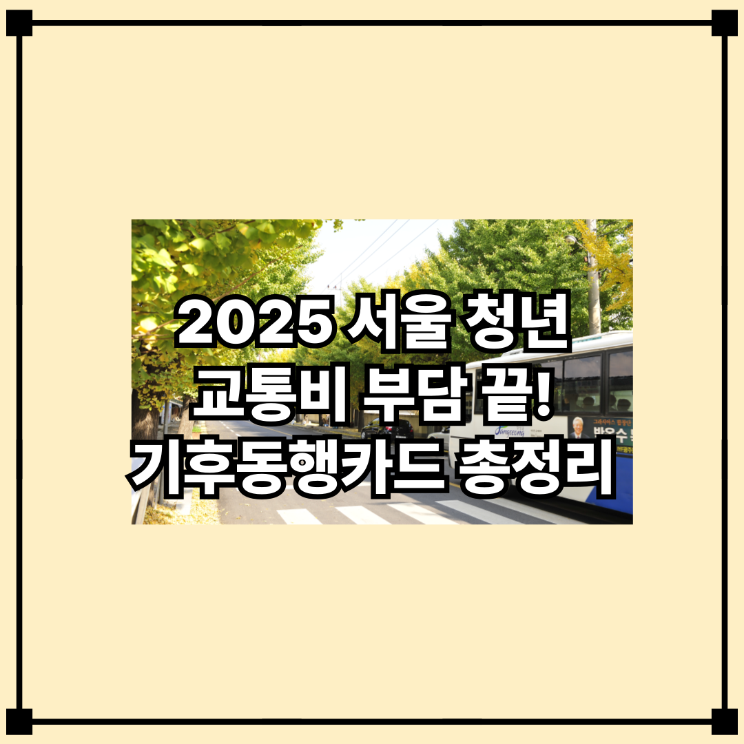 2025년 청년 교통비 지원제도 기후 동행카드 청년권, 교통비 부담 줄여주는 꿀 제도!