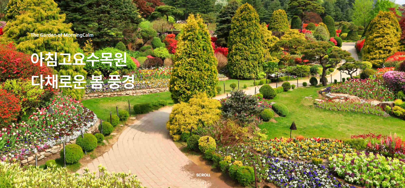 아침고요수목원