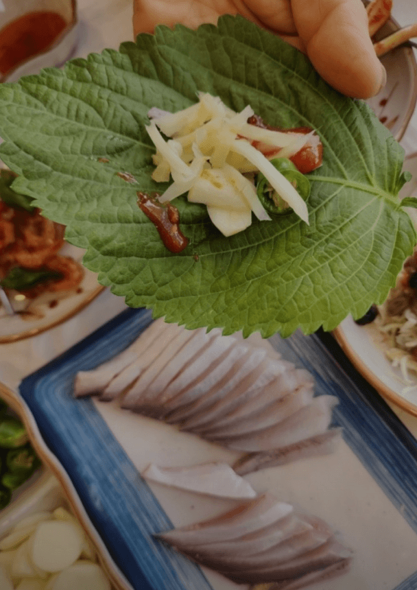 6시내고향 전북 군산 장어 아나고 군산아나고