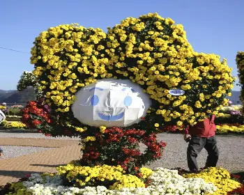 마산 가고파 국화축제_28