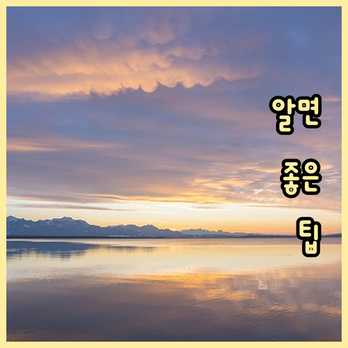 ESTA $40 요구는 사기? 진짜 ..