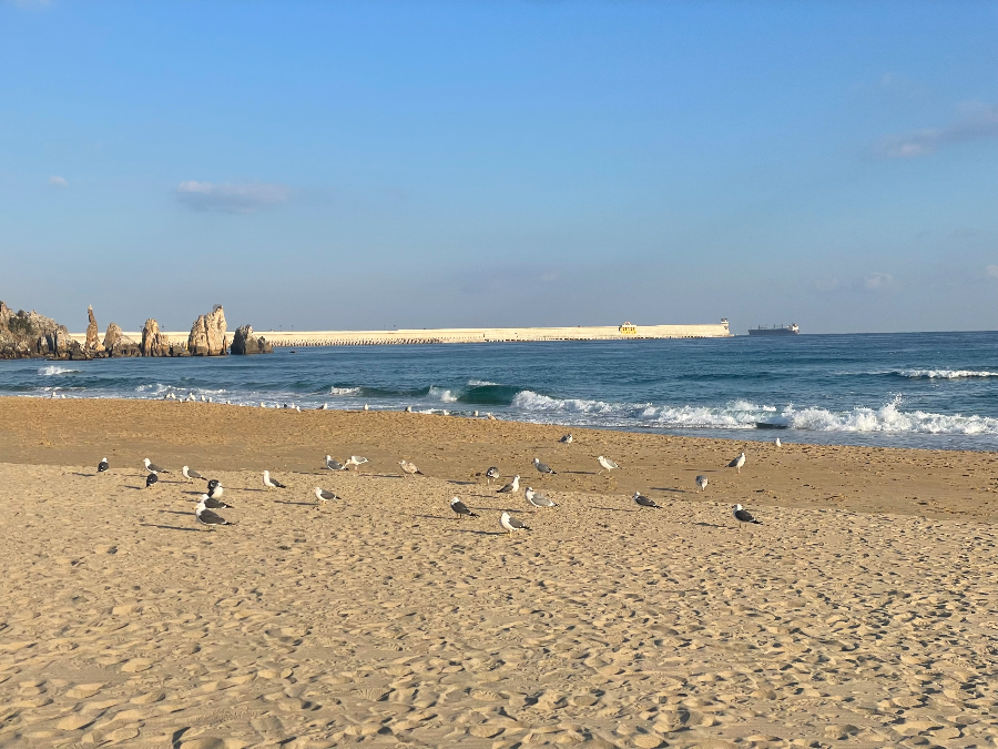 삼척 증산해변