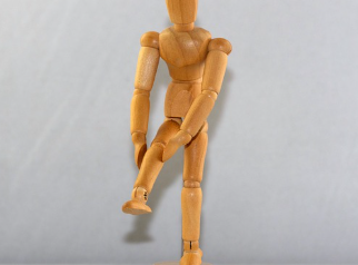 무릎 연골 기능, 퇴행성 변화, 예방운동 총 정리 (2025 ver.)