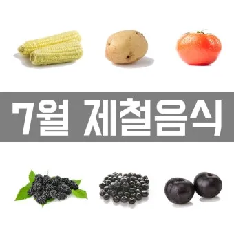 7월 제철 과일 고르는 법과 가장 맛있게 먹는 팁 소개_2