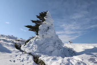 한라산 탐방로예약 시스템 등산 코스_22