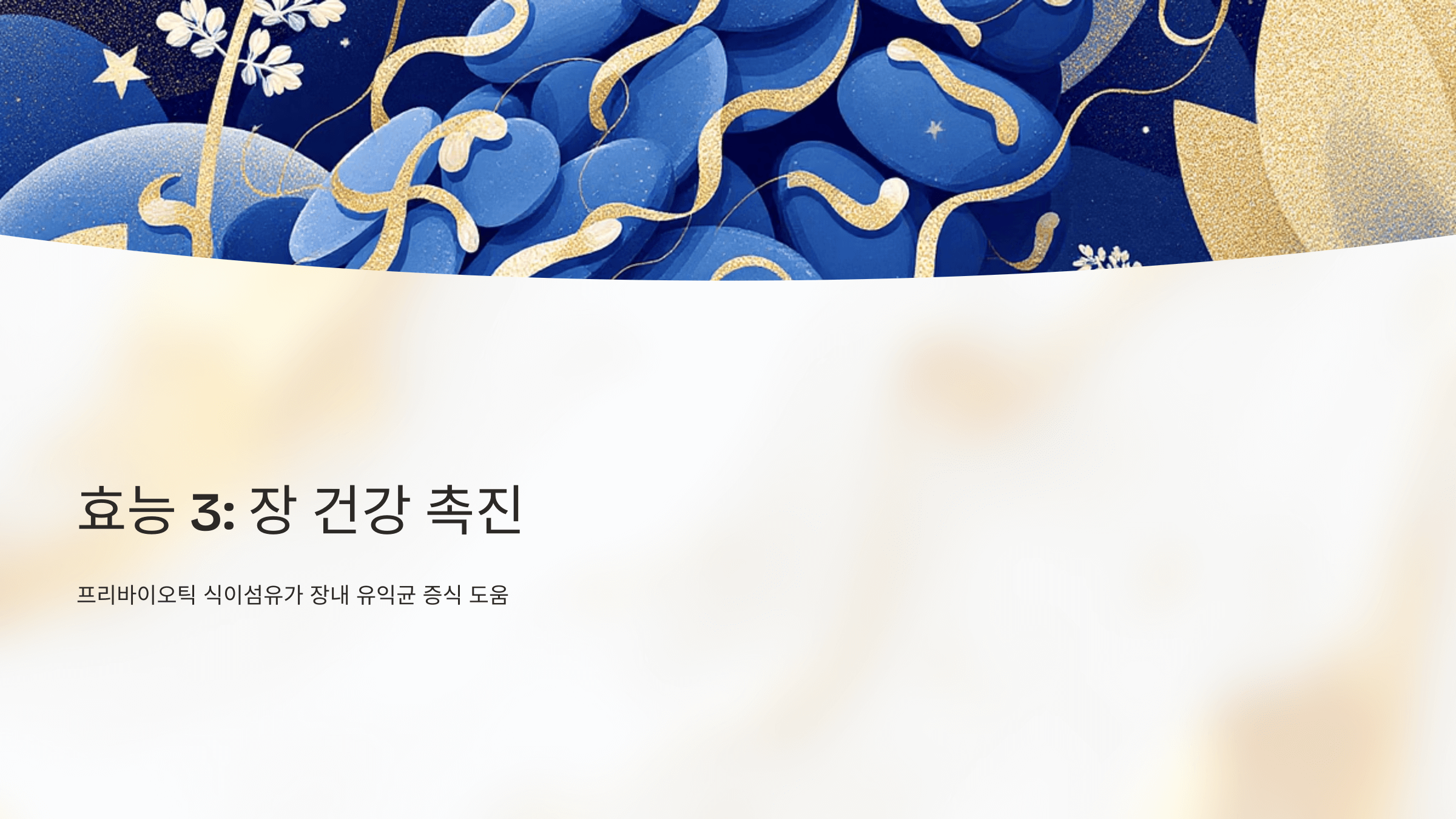 루피니빈 사진입니다.