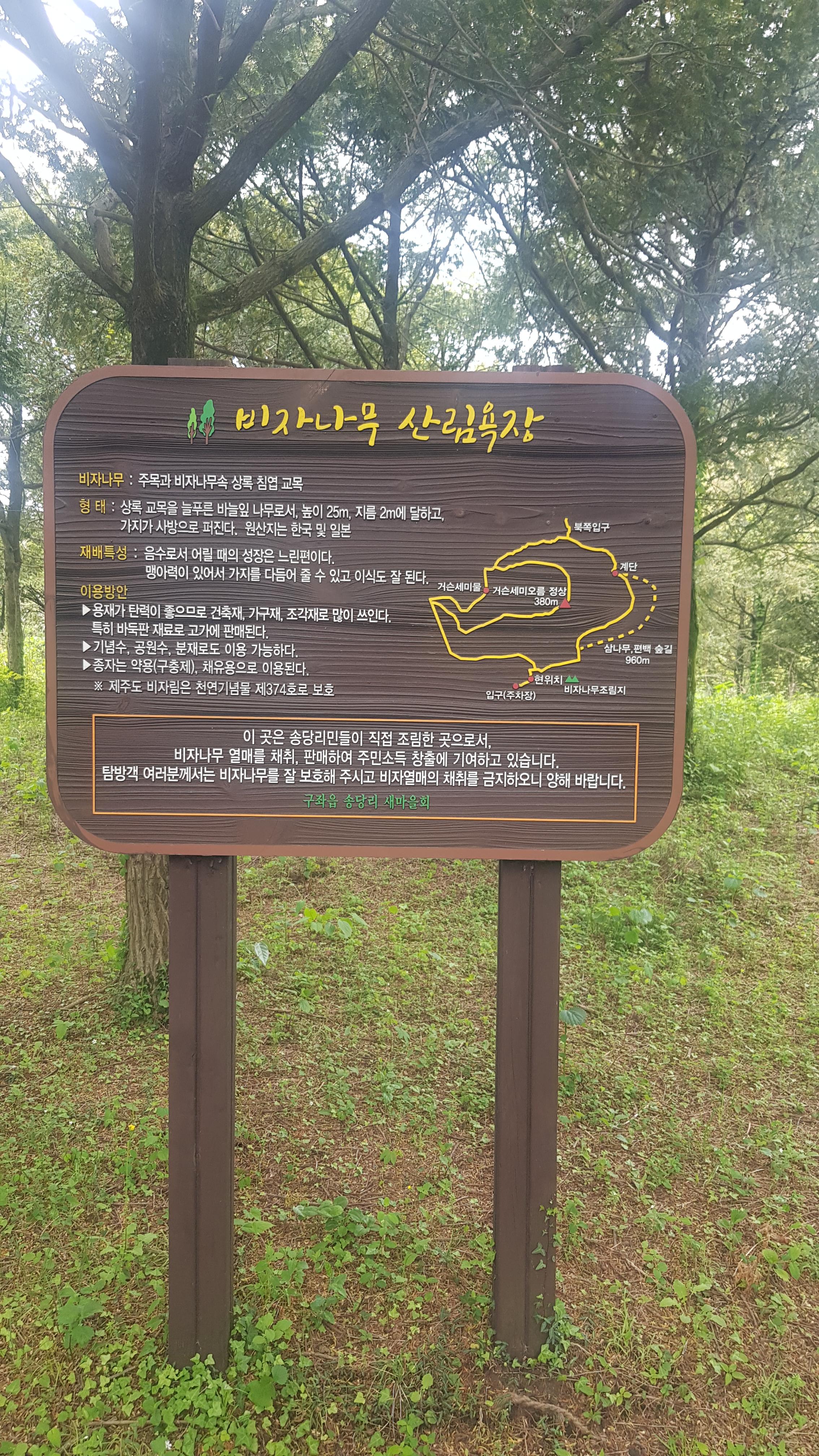 제주도 거슨새미오름 &ndash; 숨겨진 자연의 보물!