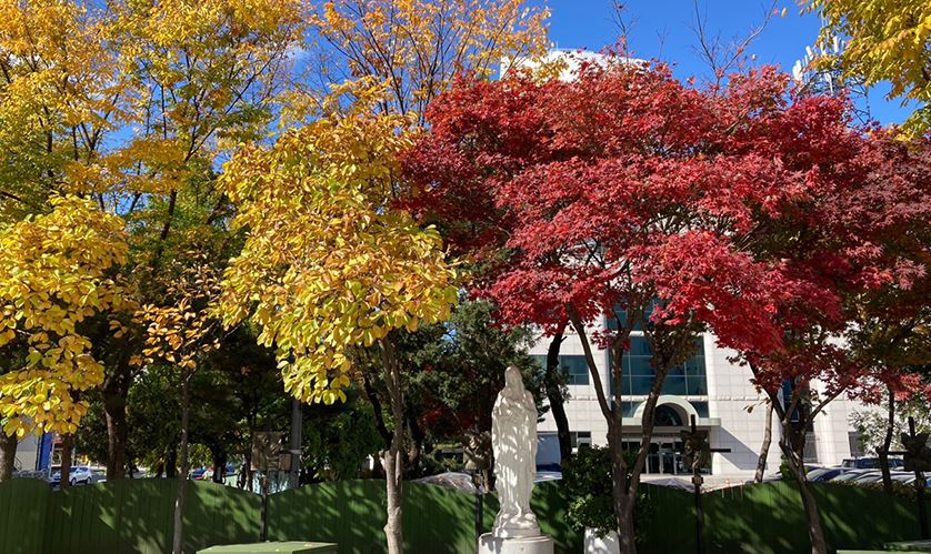 서울 요양원 추천 서울 근교 요양원 포함 BEST 10 (A등급 이상) 