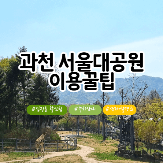 과천서울대공원이용꿀팁