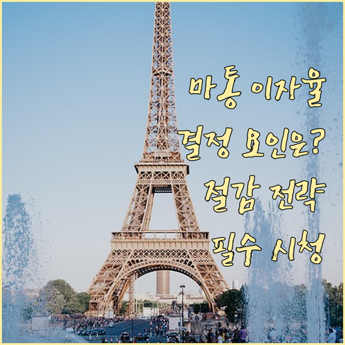 마이너스통장 이자율 결정 요인 분석 ..