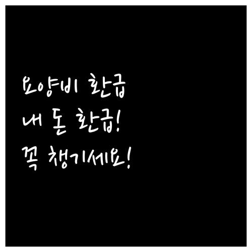당뇨병 소모품부터 양압기 대여까지 요..