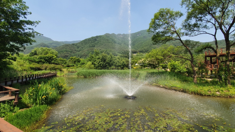 문경 생태미로공원