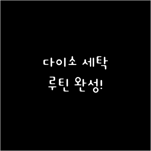 다이소 세탁용품으로 깨끗하고 편리한 