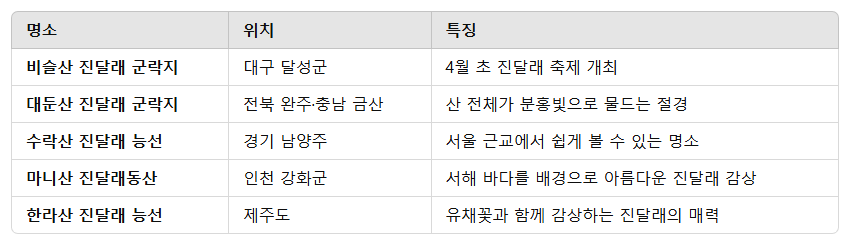 2025년 진달래 개화시기
