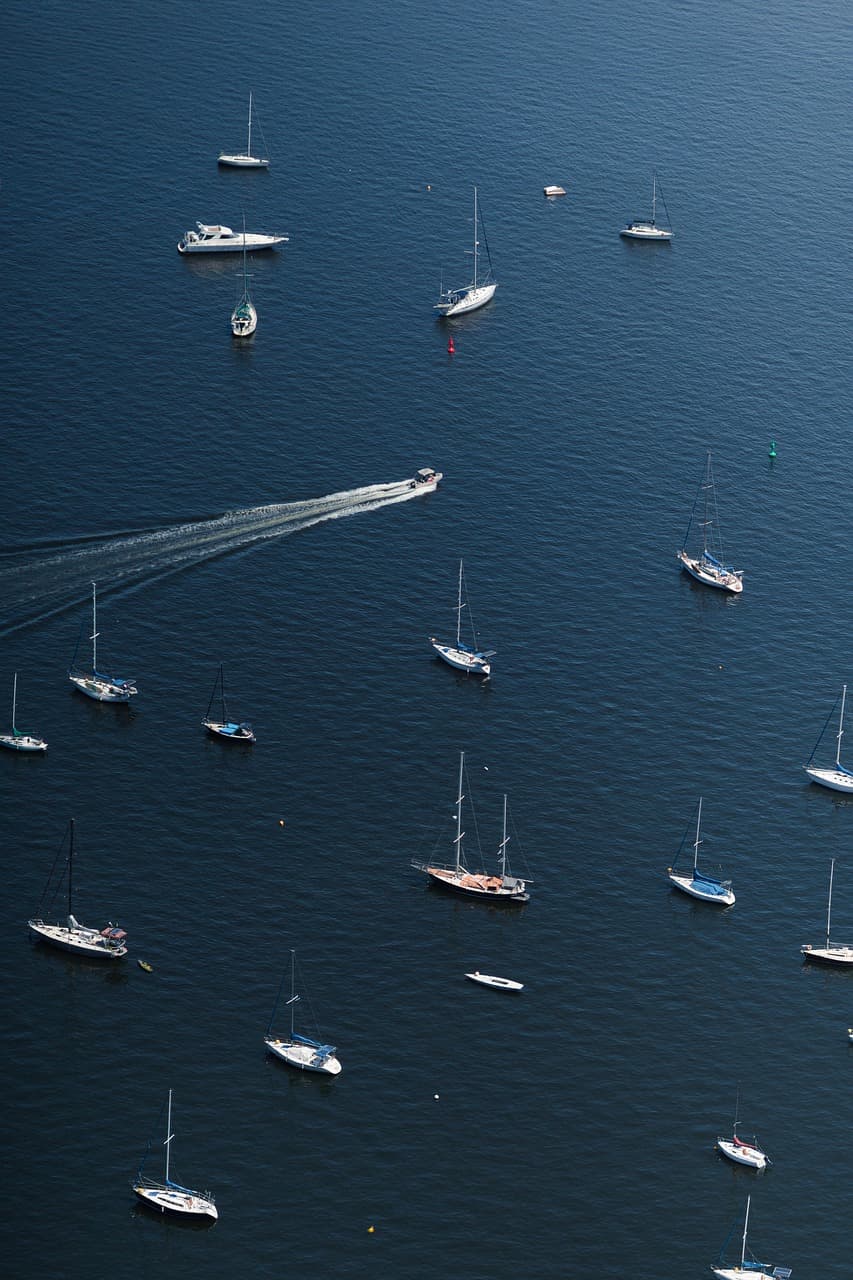 바다에서 자란 고기? 해양 기반 대체 단백질의 미래