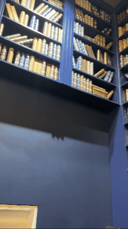 수지 롯데몰 베질루트 벽면 가득한 책 모양 인테리어를 위로 올려다보는 장면