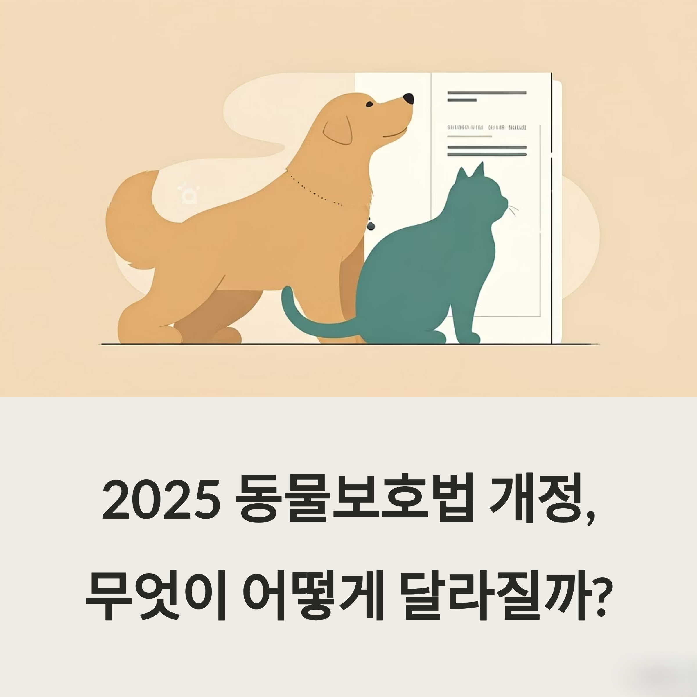 2025 동물보호법 개정, 무엇이 어떻게 달라질까?