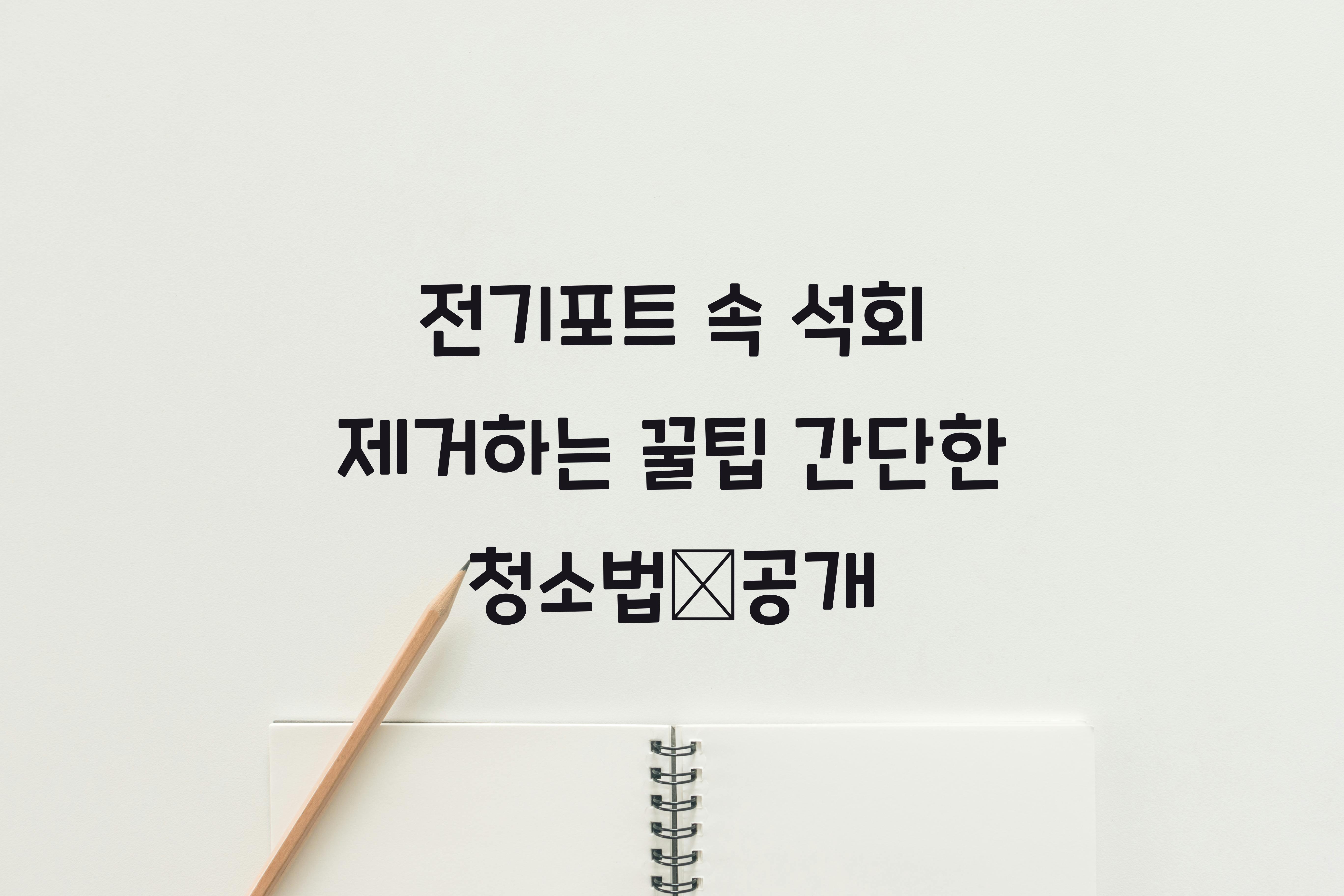 전기포트 속 석회 제거하는 꿀팁