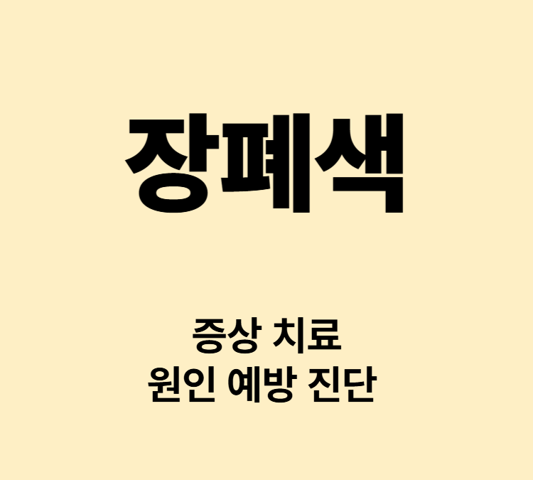 복부 팽만 복통 구토 소화불량 증상 장폐색 치료