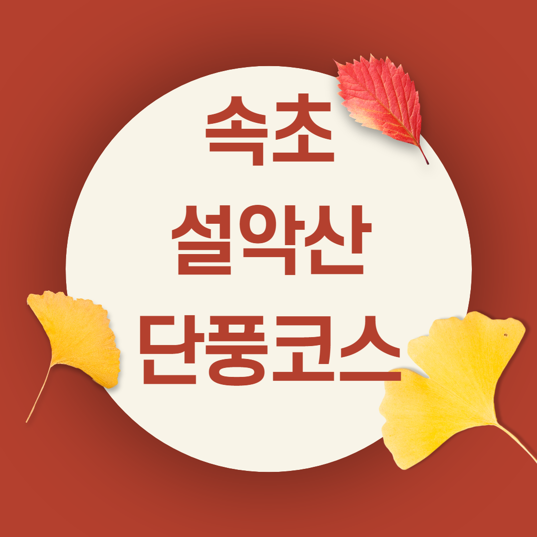 강원도 속초 설악산 가을단풍코스