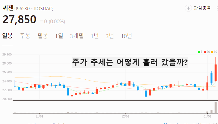 전염병 관련주 대장주 테마주 수혜주 TOP5