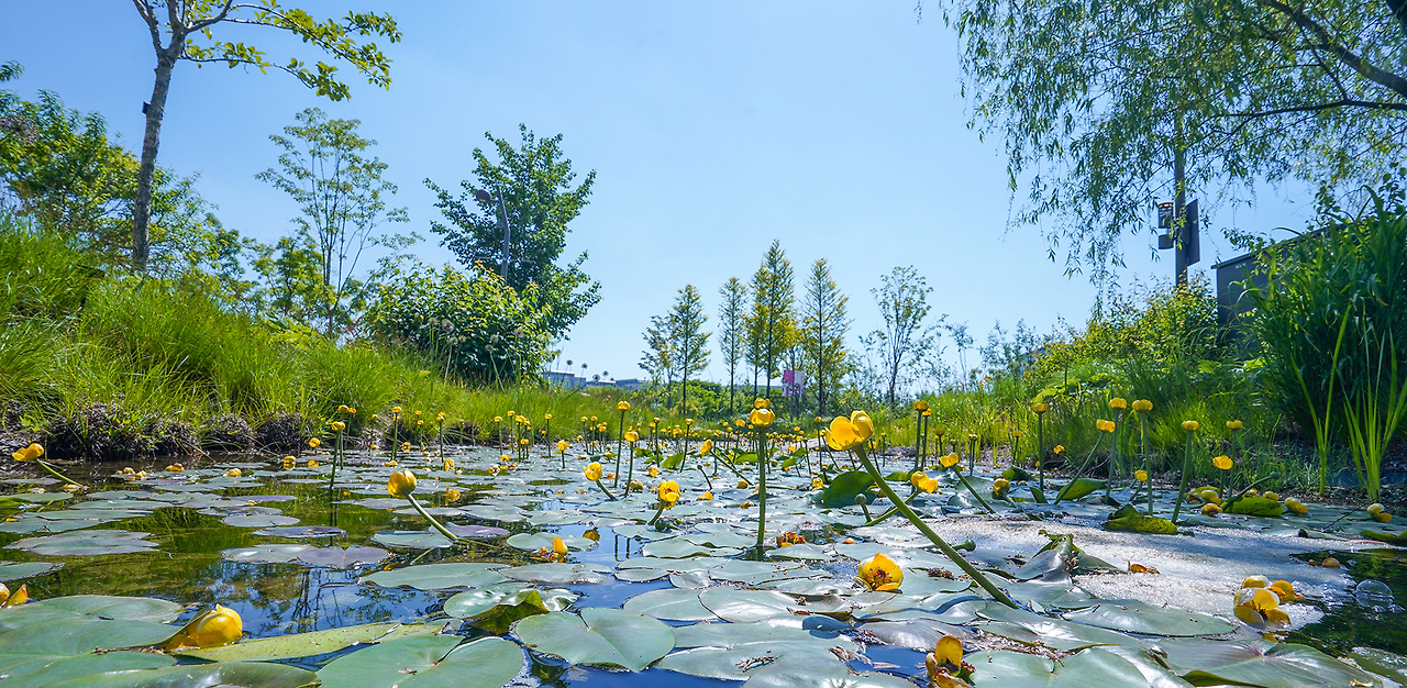서울식물원 &amp; 호수공원 탐방