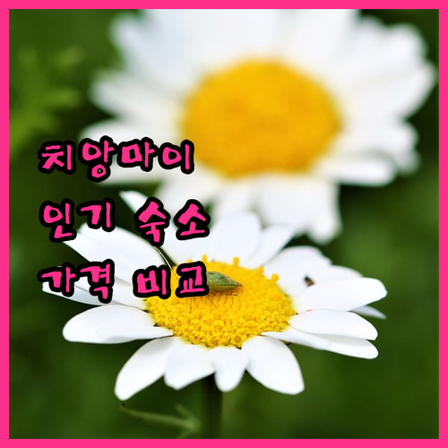 치앙마이 여행객 필독 인기 호텔 숙소
