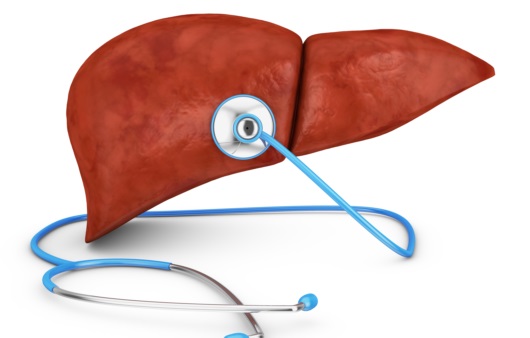 간수치가 높으면 나타나는 증상