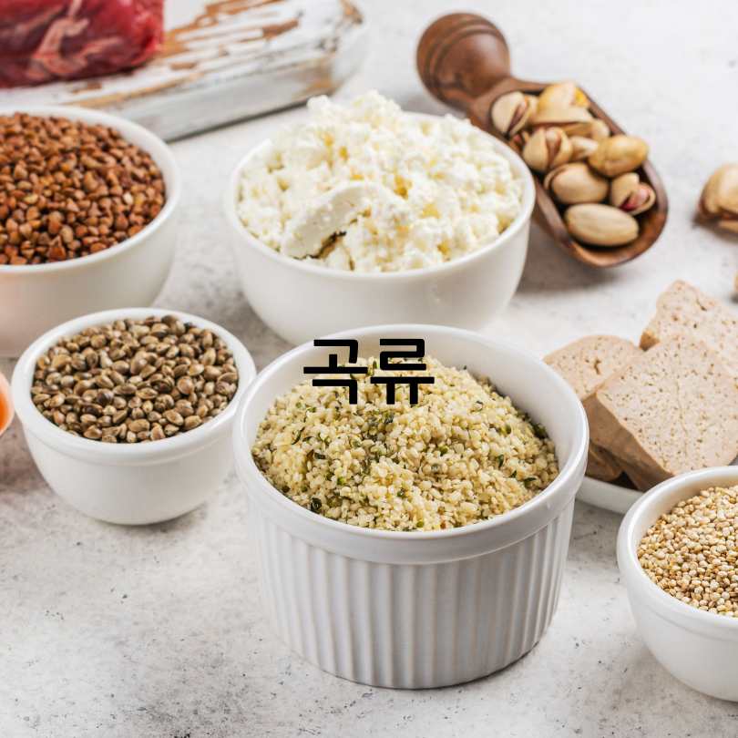 고기보다 단백질이 많은 음식