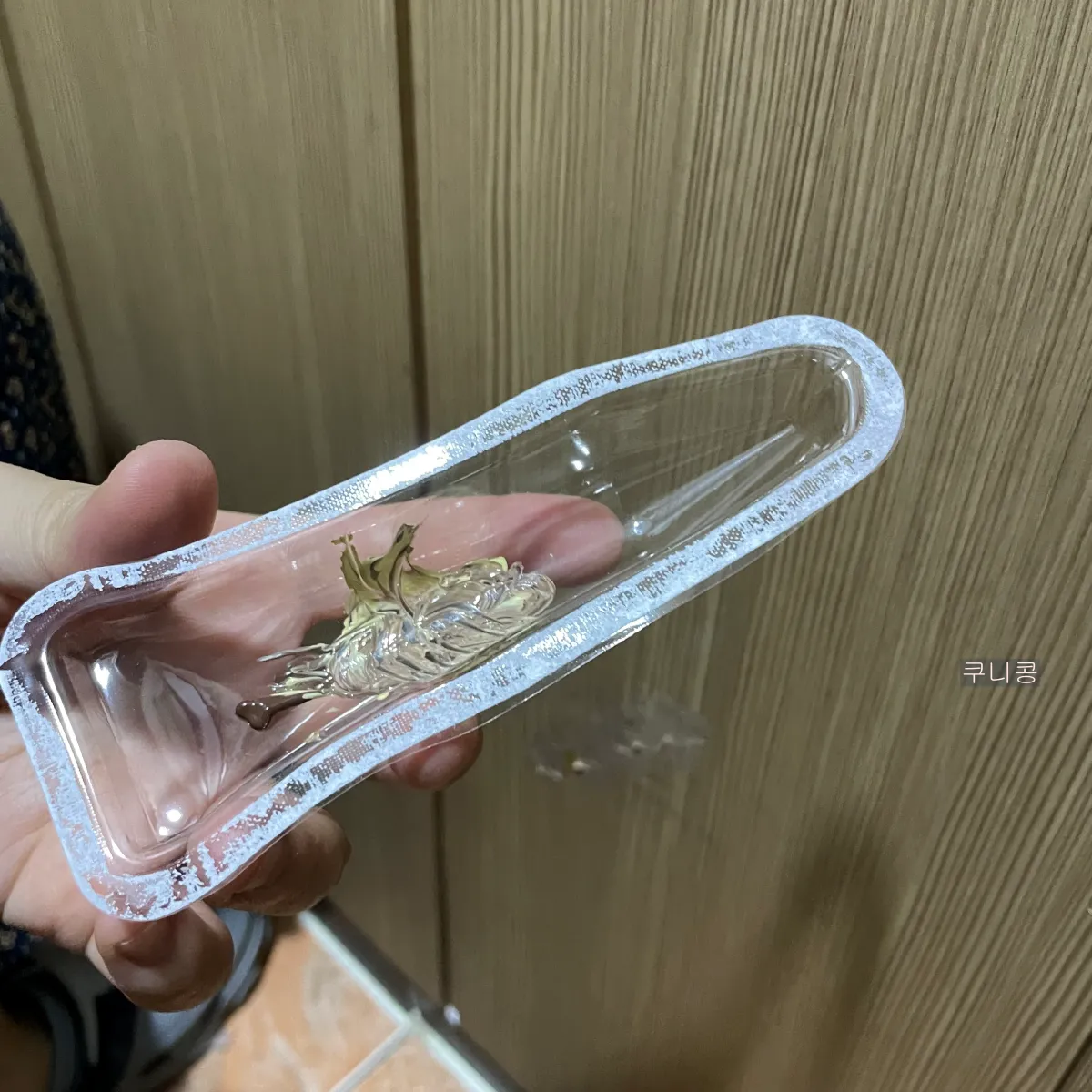 거실-마루-흠집-셀프-보수하기-다이소-우드퍼티-사용후기