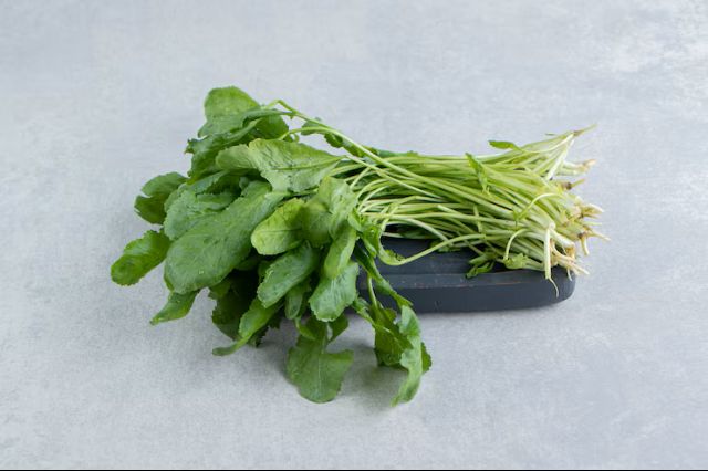 참나물 (Pimpinella brachycarpa)