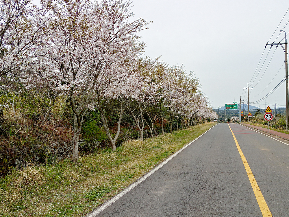 올레3A코스: 온평포구에서 표선해수욕장까지