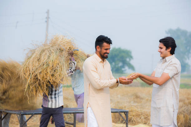 민생회복 소비쿠폰