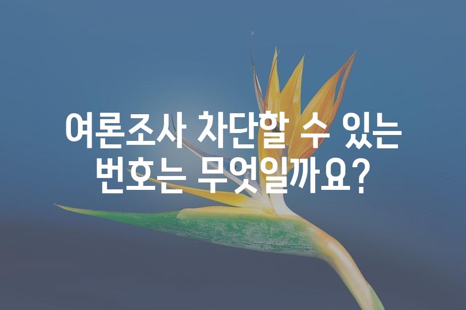 샘플 (45)