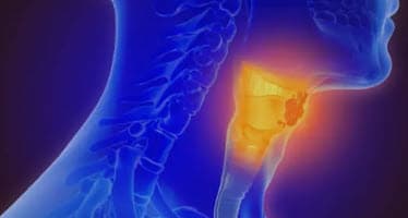 🫦목소리가 쉬는 진짜 이유 (성대&middot;위산역류&middot;발성 습관)