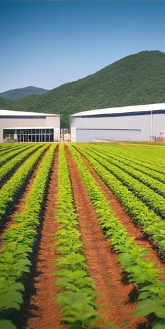 식물보호산업기사-필기-시험-기출문제-다운로드-단기-공부방법