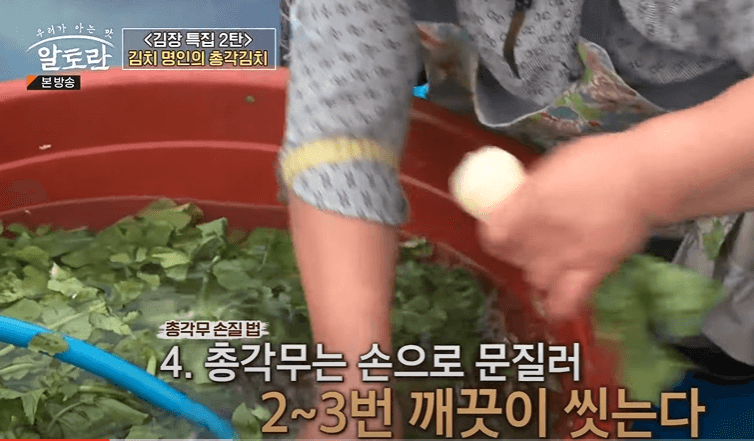 알타리 김치 총각김치 맛있게 담는법