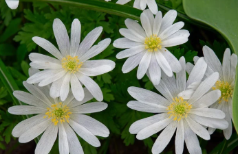 케이뱅크용돈이벤트 꿀팁 모음 10