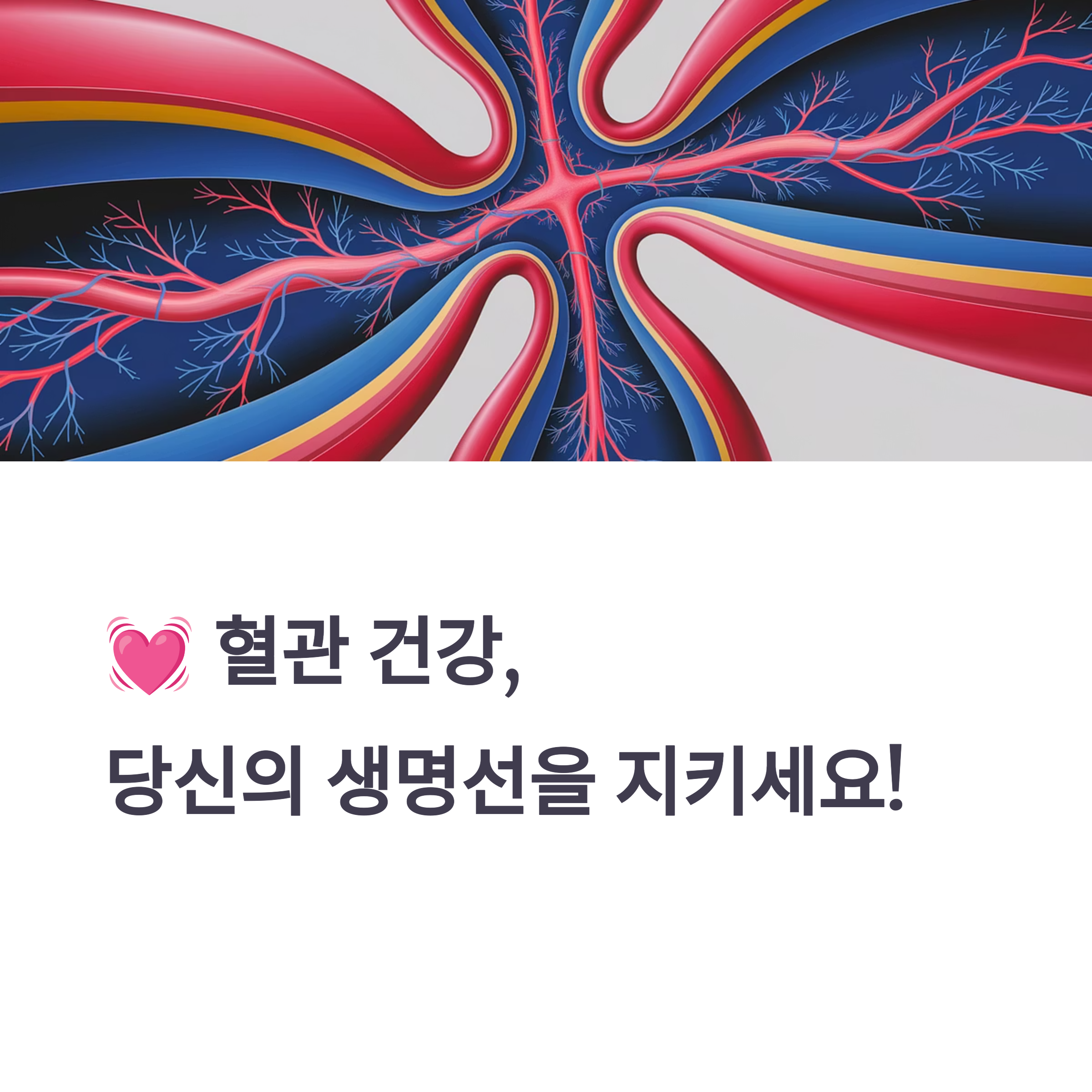 혈관 건강을 지키는 필수 영양소