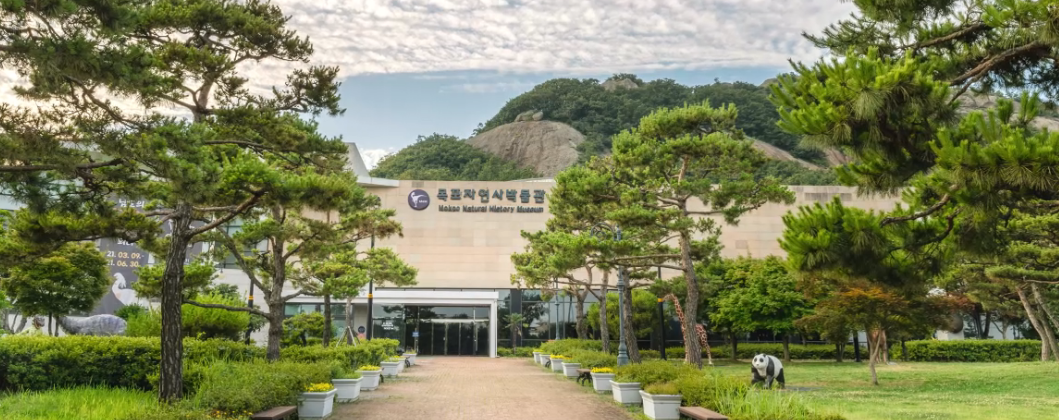 목포자연사박물관