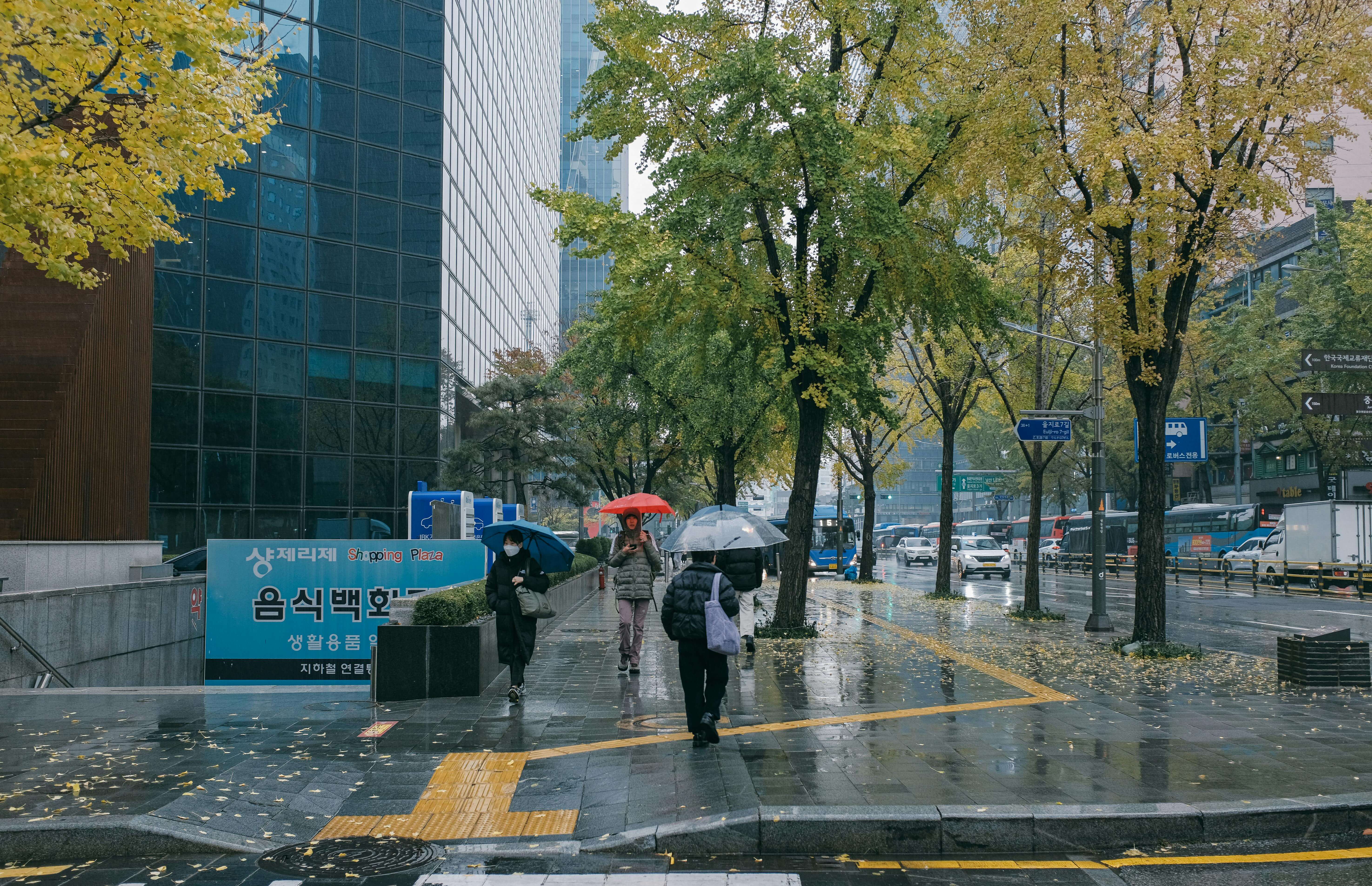 계절 변화 호르몬 변화가 건강에 미치는 영향 완벽 분석